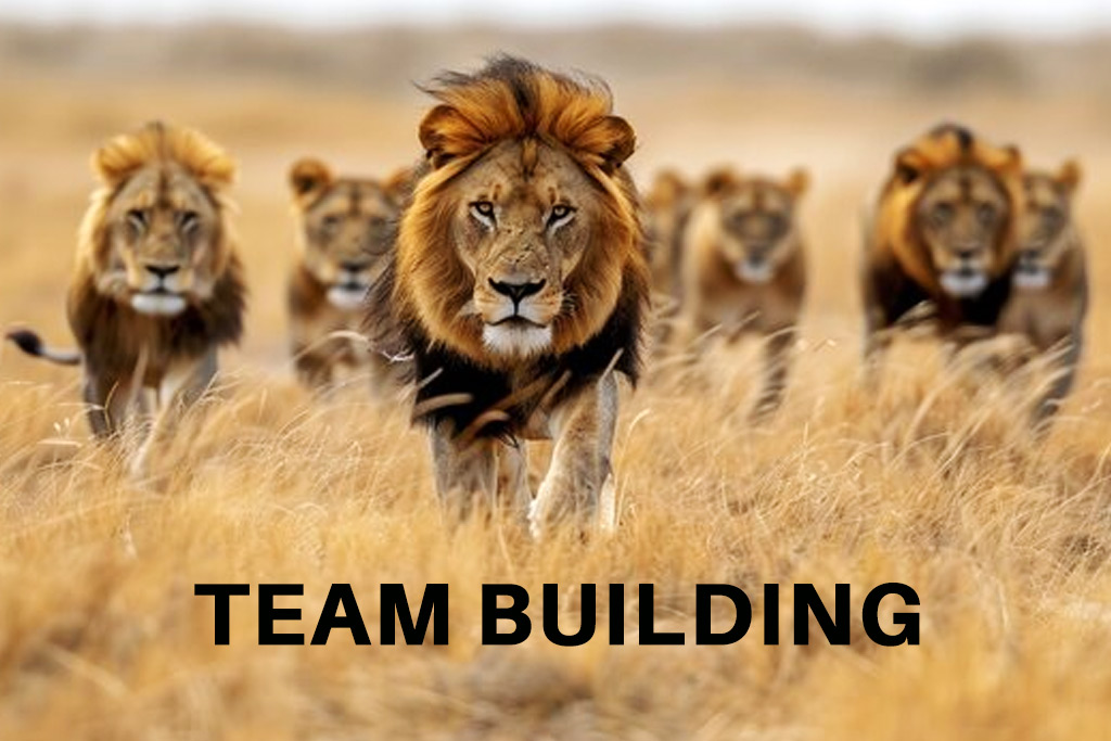 Mohanta Group - Looking for Great fit Employees