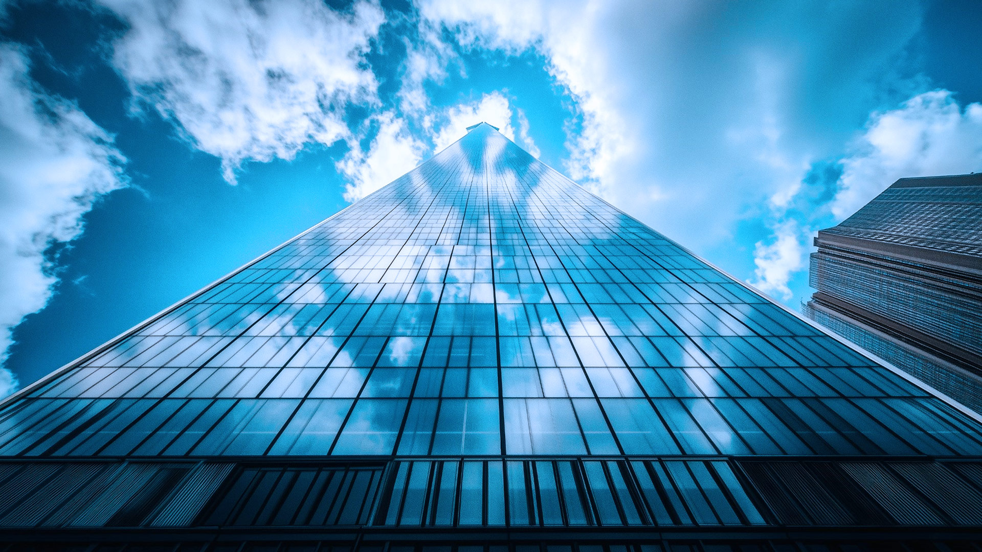 MGC - India’s First Conglomerate Startup