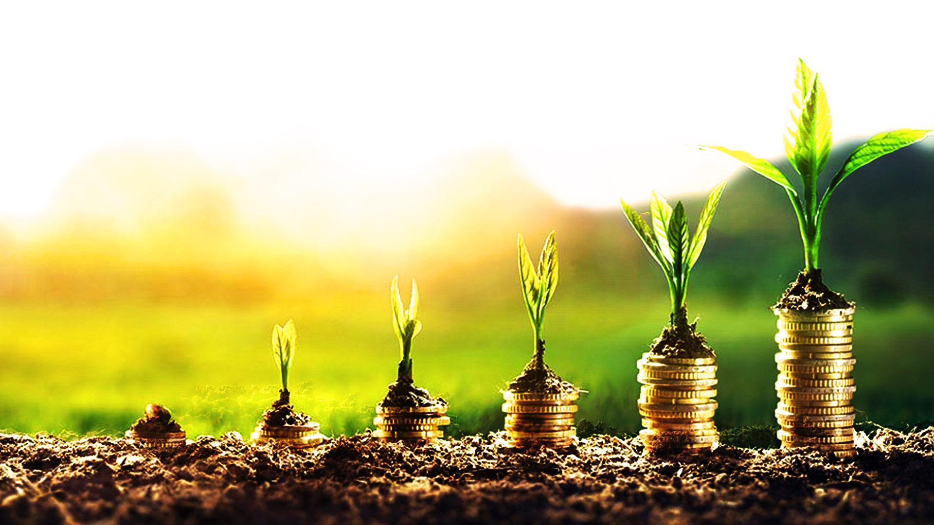 MGC - Self-Funded to VC-Fueled Beast Mode