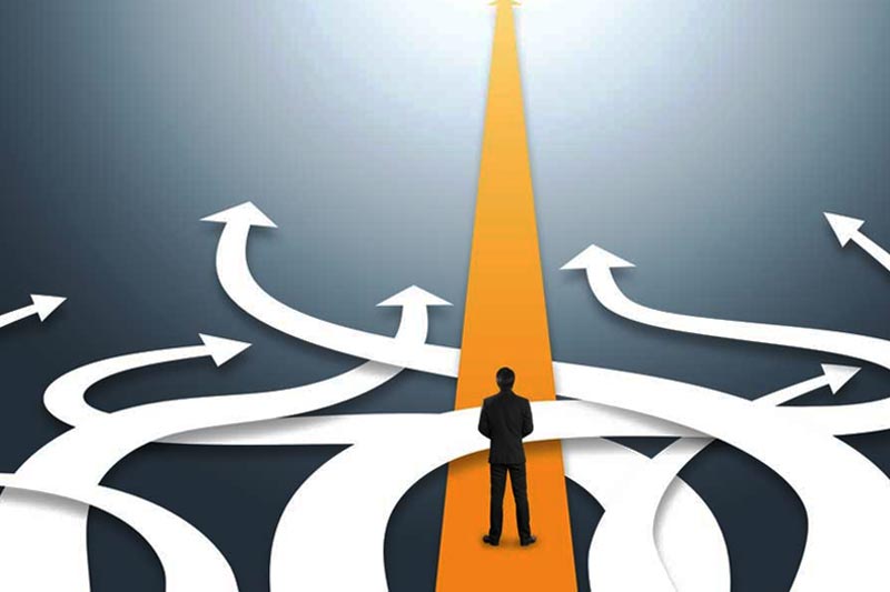 Career Path, Department, and Subject-Wise Courses